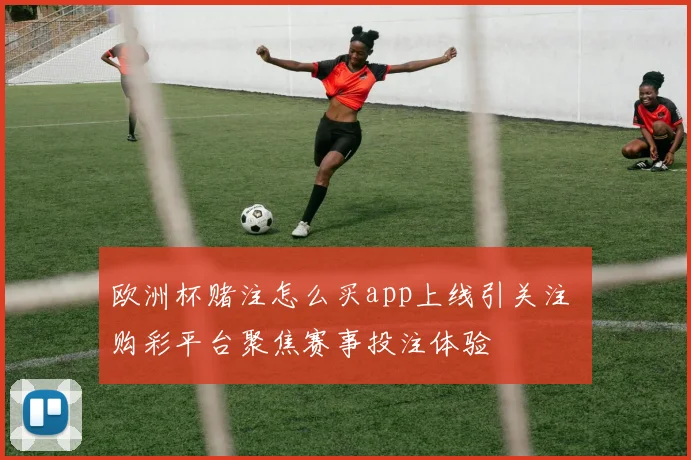 欧洲杯赌注怎么买app上线引关注 购彩平台聚焦赛事投注体验