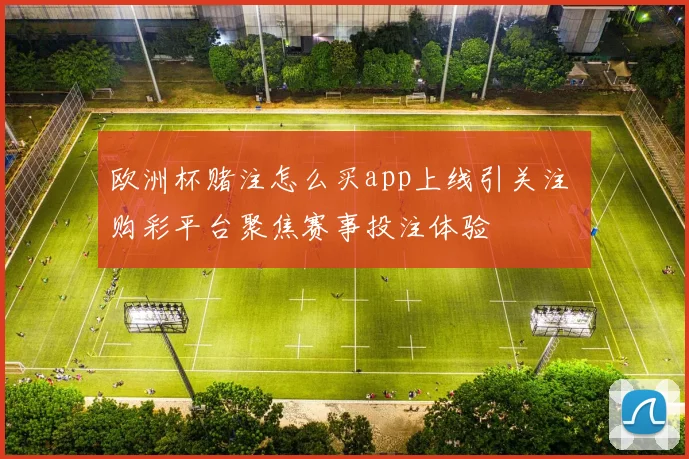 欧洲杯赌注怎么买app上线引关注 购彩平台聚焦赛事投注体验
