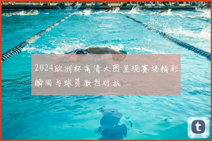 2024欧洲杯高清大图呈现赛场精彩瞬间与球员激烈对抗