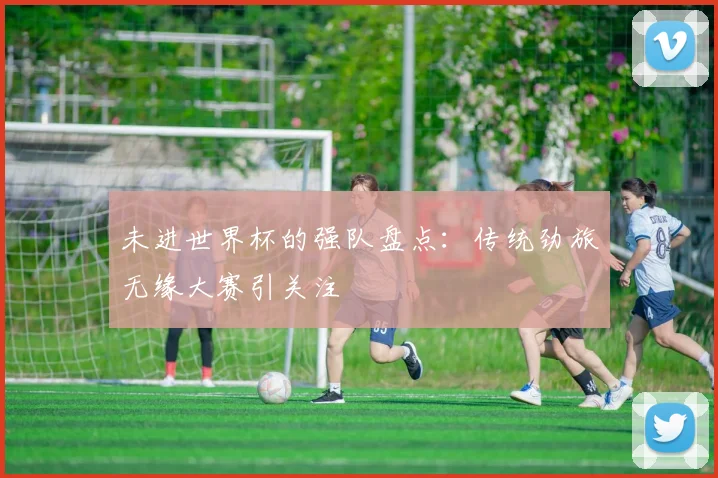 未进世界杯的强队盘点：传统劲旅无缘大赛引关注